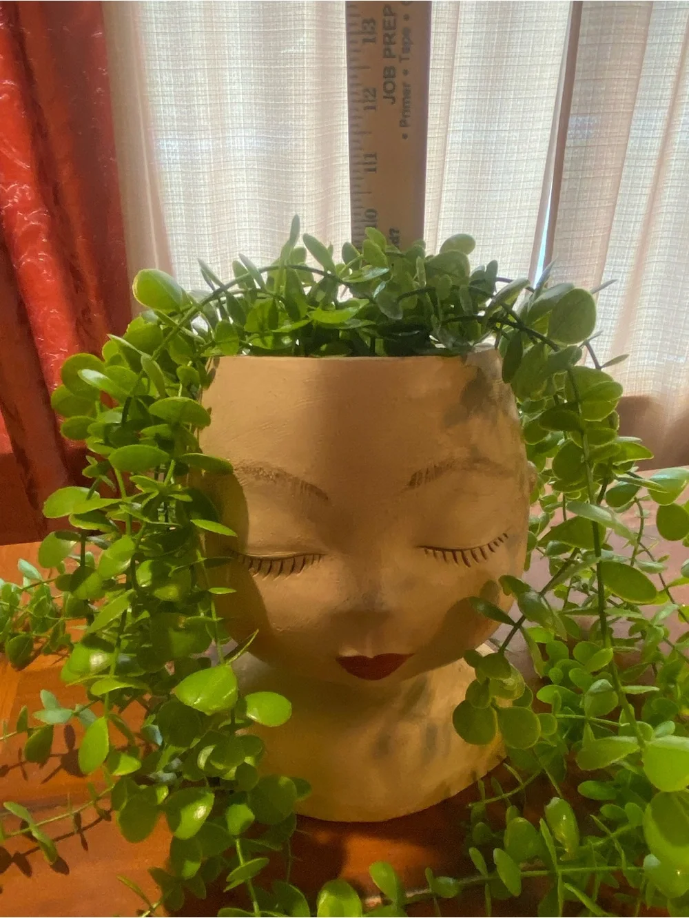 Decorative Planter Head Bust - Decorative Home Accent